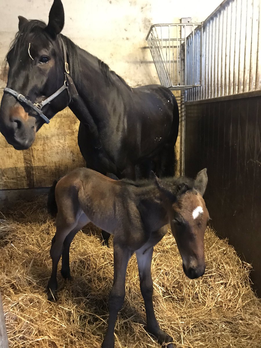 Hyvää Äitienpäivää.            Overfun Match-Explosive Matter