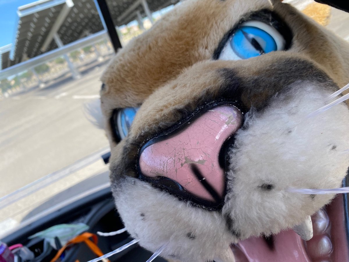 Staff has made a video for the seniors!! Here’s a little sneak peak😂🐾😉