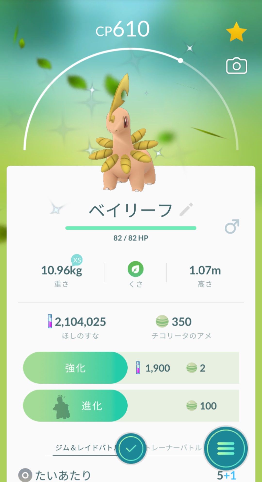 鬼天竺鼠 朝からギラティナ３戦もゲットできず なので 昨日ゲットの色違いチコリータ進化 ベイリーフもやっぱり枯れてる色 メガニウムはまだアリそうかな Pokemongo ポケモンgo 色違いポケモン 色違いチコリータ 色違いベイリーフ 色違い