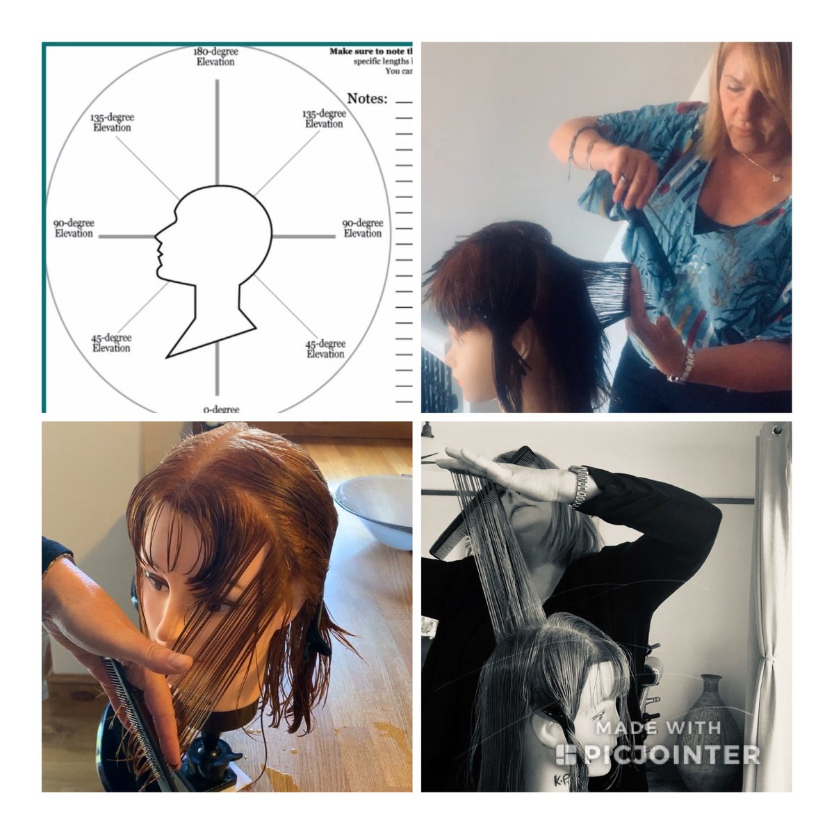 pike_kerry's tweet photo. Demos from home, keeping the L2 hairdressers @norwichcollege busy,  good work guys! @WellaEducation #hair #styling #demos #zoom https://t.co/yQiNnks4wn