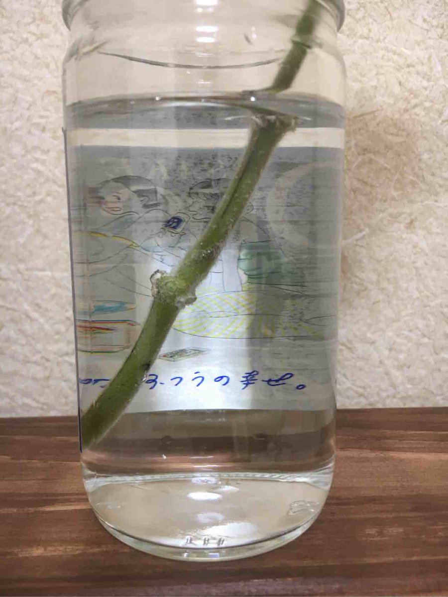 Uzivatel たろ Na Twitteru 花を飾ってみた 花言葉はありったけのふつうの幸せ 知らんけど ワンカップ大関 ワンカップ大関好きと繋がりたくない ワンカップ華道 ワンカップ大関から始める奥深き華道の世界 ワンカップ大関のある生活 マズイけどウマイ 矛盾の