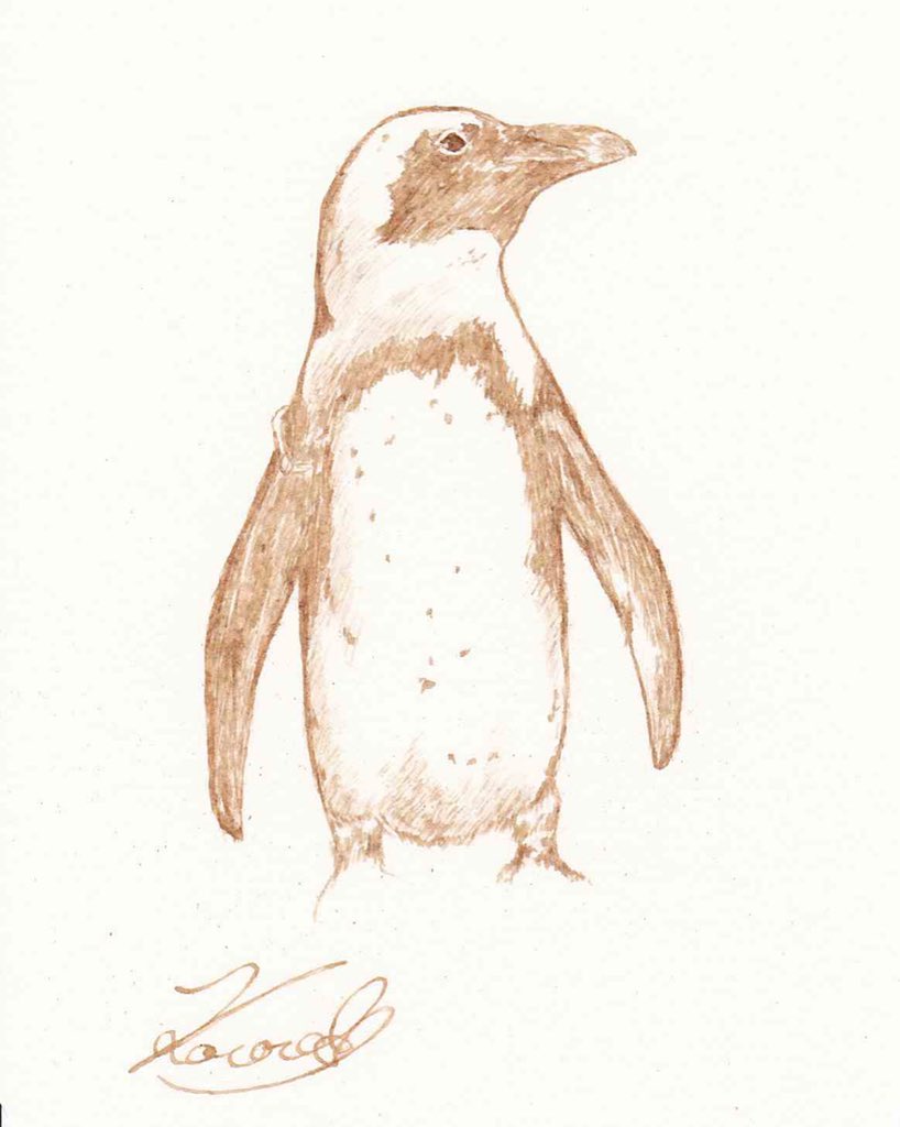 Espresso Artist Kocoro Japan 福岡 Fukuoka Wip デッサン 絵 アート Art Pencil エスプレッソ ペンギン Espresso Penguin Bird Coffee Inkdrawing Inkart Inkartwork Artgraf Paper Draw Drawing Pencildrawing Create Artwork Espresso Artist Kocoro Japan 福岡 Fukuoka Wip デッサン 絵 アート Art Pencil エスプレッソ ペンギン Espresso Penguin Bird Coffee Inkdrawing Inkart Inkartwork Artgraf Paper Draw Drawing Pencildrawing Create Artwork