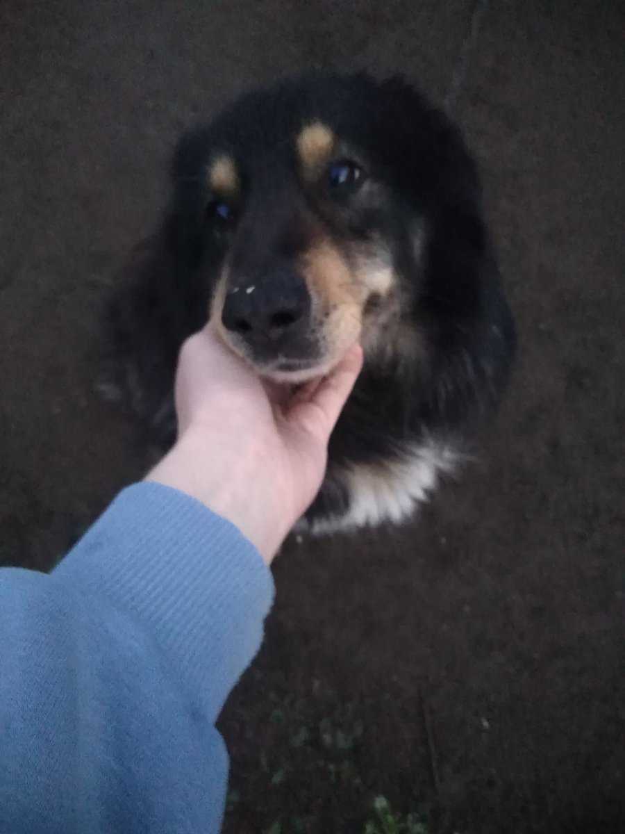 Мой зайчик 😍