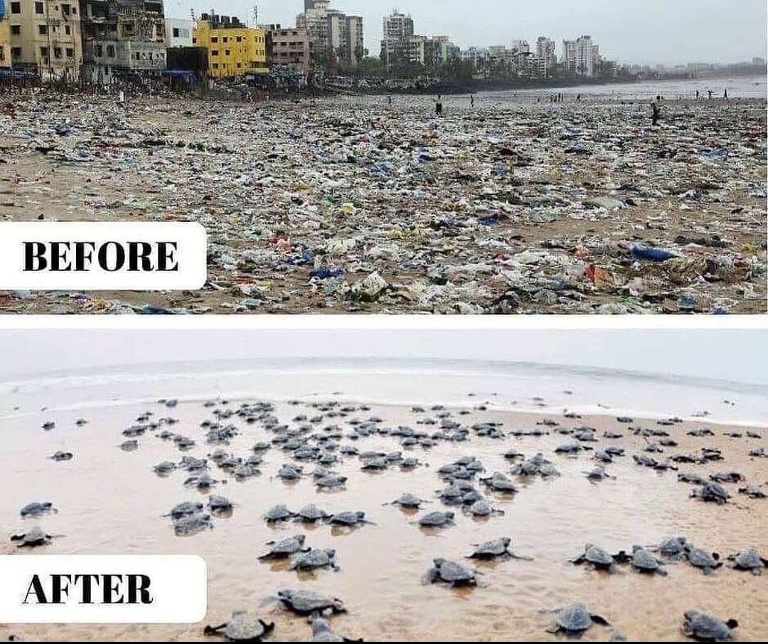 #noplastic  #noplasticplease #noplasticstraws #noplasticbags  #noplasticstrawplease #noplasticsoup #noplasticbottles #noplasticstraw #noplasticsticks #noplastics #noplastico #noplasticneeded #noplasticisfantastic #NoPlasticCups #noplasticbuildup #noplasticwaste
#ooho #OohoWater