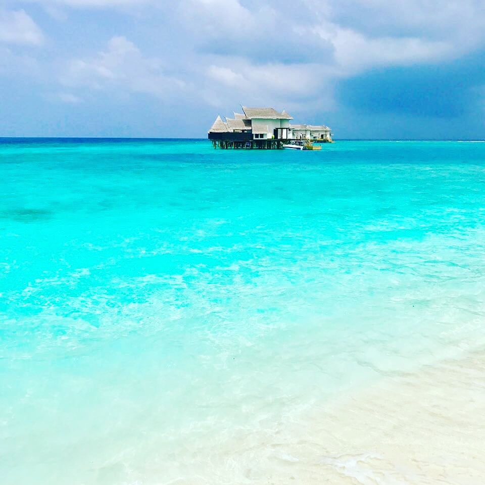 En el momento que dejas de pensar en lo que puede pasar, empiezas a disfrutar de lo que está pasando. 🏝Simplemente Maldivas❤️❤️❤️
☀️<a href="/Mimaldivas/">Maldivas</a>, m.facebook.com/Mimaldivas
💦mimaldivas.weebly.com💦
🎉 ¡Empieza a disfrutar de la vida!🎉
 #quedateencasa #stayhome #travel #viajar