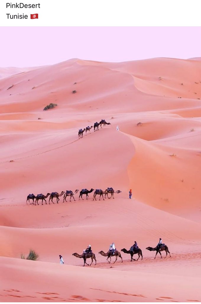 RegganiEl's tweet photo. #PinkDesert #Sahara #Tunisia #Africa https://t.co/VXpVnpGpIE