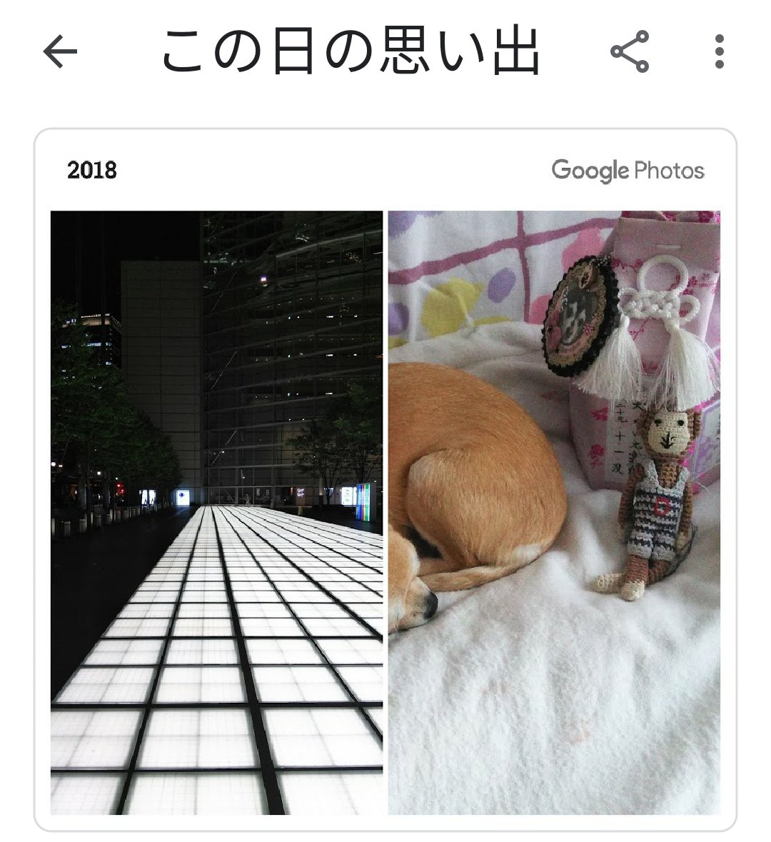 shinobu0707's tweet photo. Googleフォトこの日の思い出。2年前の2018年5月10日、松山千春さんコンサートツアー2018春「弾き語り」東京国際フォーラム千秋楽。お留守番の愛犬の様子も残っていました。
#Googlephot https://t.co/HFec1mRily