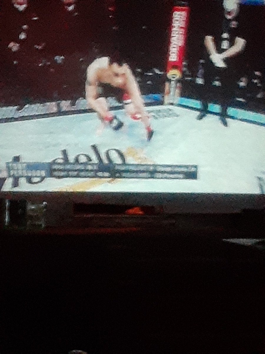 mrs_lady_a's tweet photo. @ufc @TonyFergusonXT @Justin_Gaethje https://t.co/cb5uwI0g98