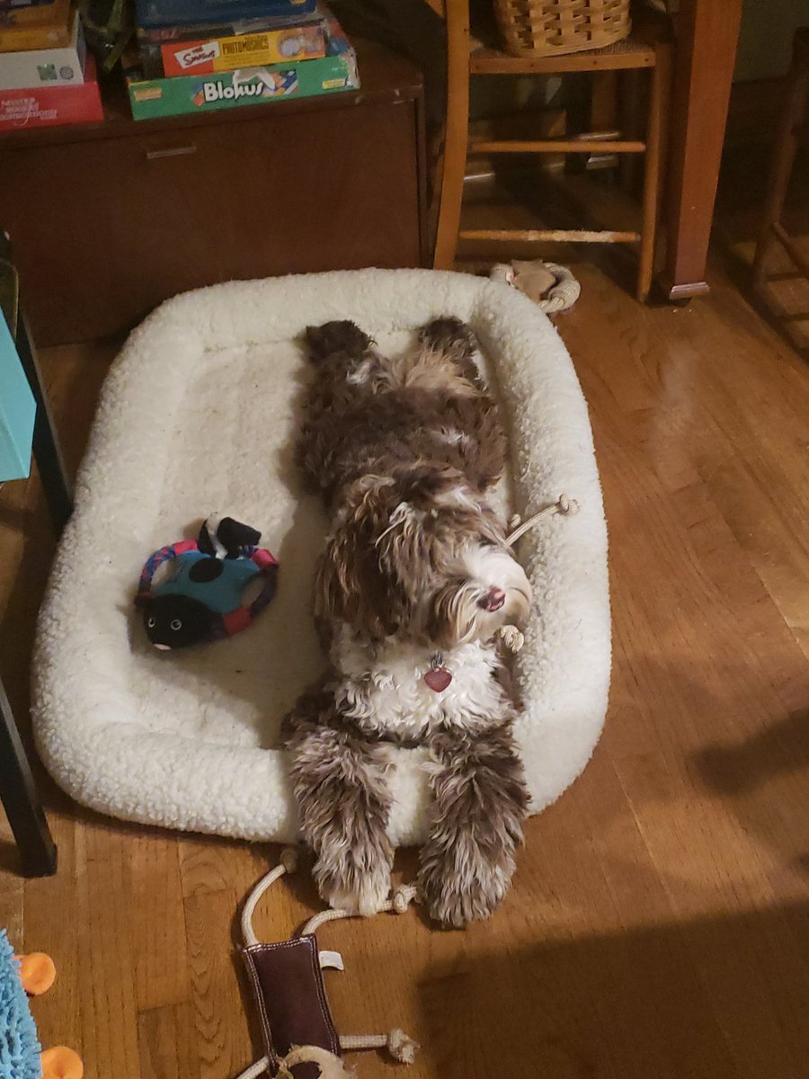 <a href="/Pogsire/">Blaaa</a> Artemis AKA Temi