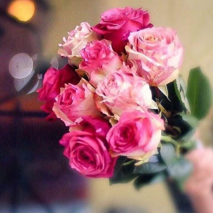 Karwan E Saba ( official ) Ruby tweet media