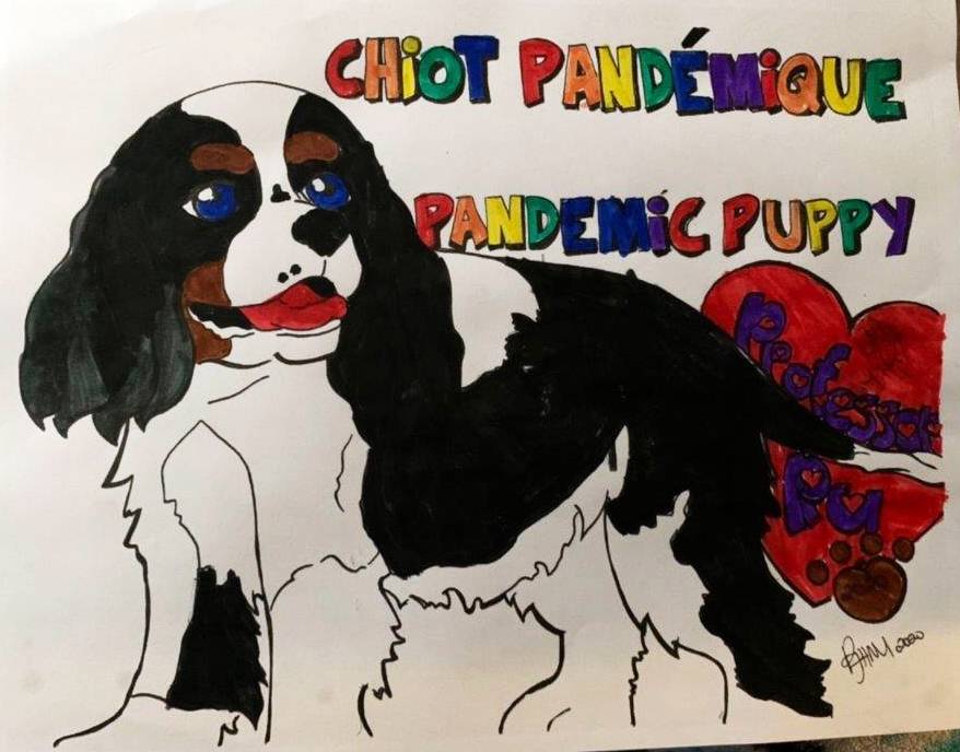 Celebrating two Ss pieces from this week! Jenny (Gr. 4) Did a fantastic job colouring Professor Ru, it looks just like him! Zoe (Gr. 2/3) Made a beautiful "Isolation Buddy" piece. My heart melted when I saw it was for her Mom. Très mignon! 

#artshare #teachertwitter #Covid_19