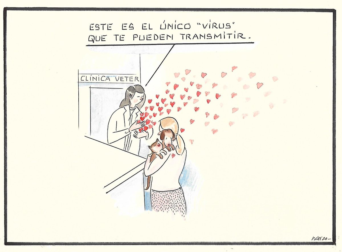 pacocatt's tweet photo. La prueba de que existe el bien absoluto la tenemos gracias a los más indefensos. https://t.co/JlWnf6Yqnp
