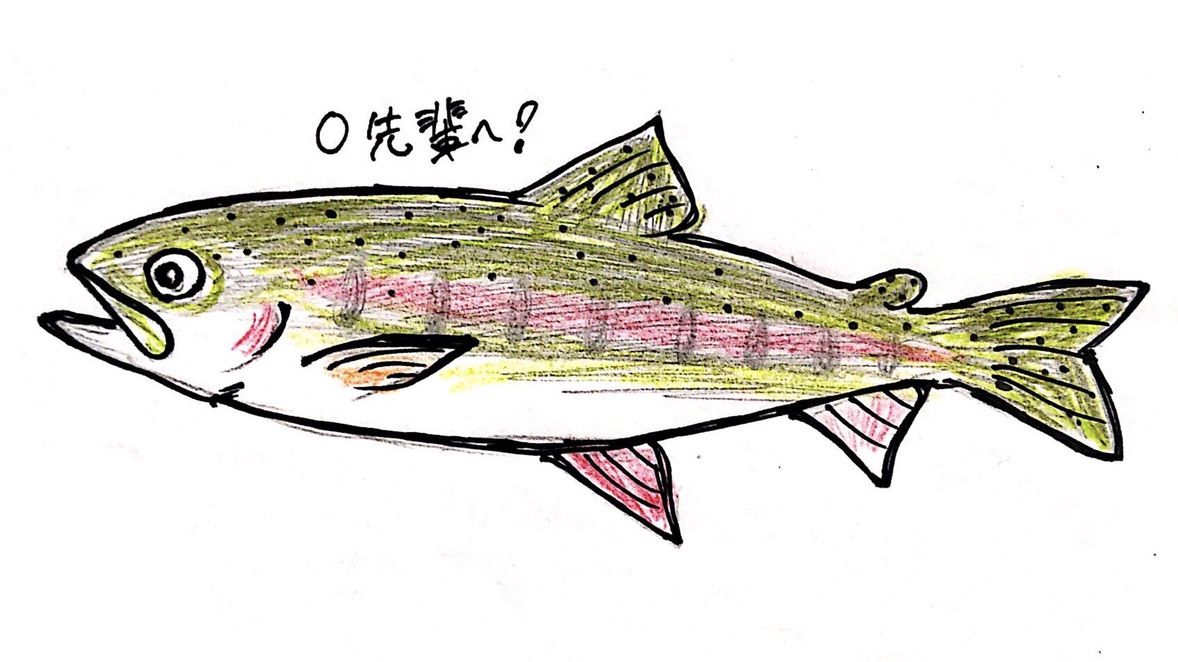 さかな芸人ハットリ Twitterren Henntaisuzukinn お待たせしましたー ニジマスです T Co 24e2hcv9i5 Twitter