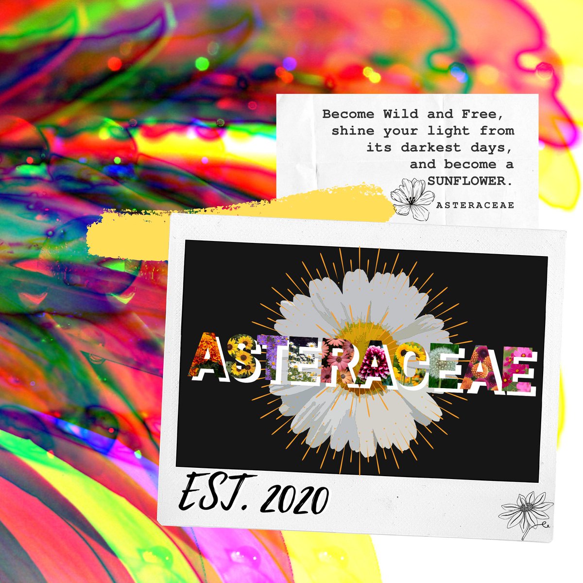 asteraceae tweet picture