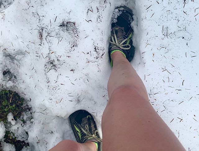 Lin_Zgo's tweet photo. Back on the trails!!! //🎉🌿🌲// . With many of Washington’s parks opening back up this week, it was time to get off the roads and finally get back into the backcountry. .. 80°+ today, but snow managed to turn us around…

📸 https://t.co/cpFUQNMzCy via https://t.co/6s8FpdXsAW https://t.co/9GblX4OI3Y
