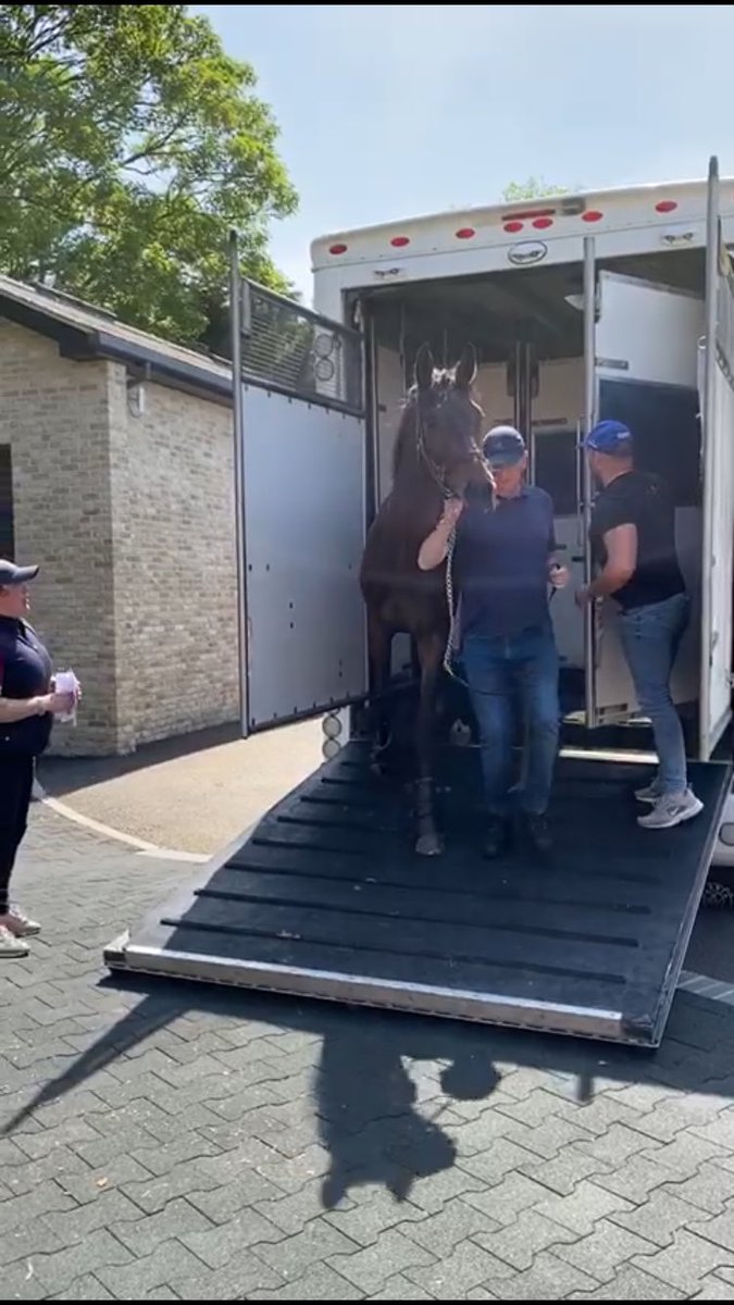 WKnightRacing's tweet photo. We have arrived at Rathmoy Stables! Everything went smoothly and the horses have all settled in well. Thank you @RapidoRacingLtd and Tetley’s for transporting them all. Great to be back at HQ! https://t.co/90HdpsTauG