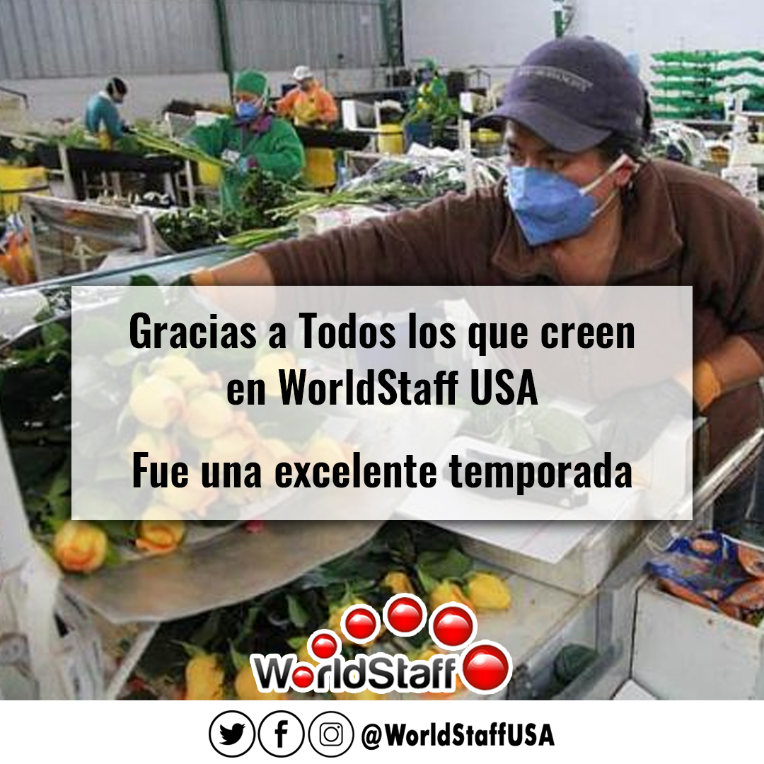 WorldStaffUSA's tweet photo. Después de cada temporada que pasa no nos queda más que agradecerles infinitamente por la confianza que tienen en nosotros y por toda su disposición a la realizar las tareas que surgen a diario en cada uno de nuestros puestos de trabajo!

#worldstaff #TrabajoEnMiami https://t.co/0lyTtxYZ4H