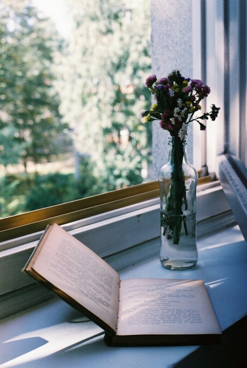 Bit_Lit_com's tweet photo. *Cassiopée* Oui nous sommes dimanche, oui tu as le droit de rester au lit et lire jusqu'à plus soif !
Bon dimanche ! https://t.co/2YTpTOOIcp