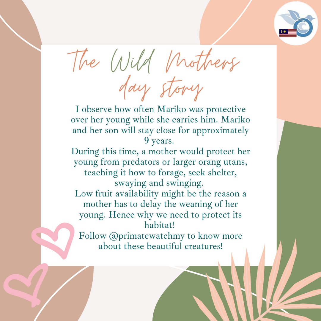 Happy Wild Mothers day!! Here's some stories on wildlife and their young.