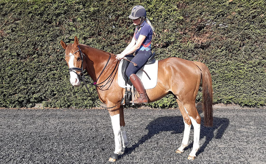BERacingLtd's tweet photo. Thrilled to see @TopTonto looking so well &amp; enjoying his retirement. Read more >> https://t.co/Y0tJKzfi9y https://t.co/nGlZzstz5u