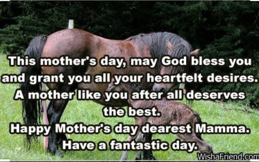 locogear_sa's tweet photo. Wishing all the mums a HAPPY MOTHERS DAY!

#mothersday #mothers #mom #horse #locogear #locohorsegear https://t.co/jYJIBKC4jQ