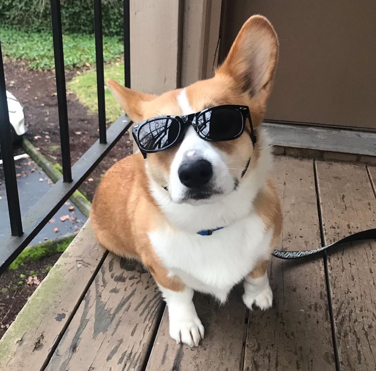 🕶