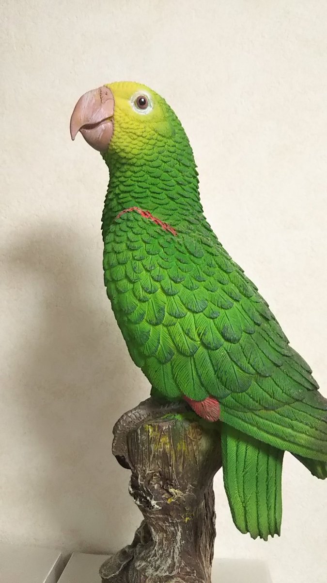 ぼよんば トリを飼っているとついついグッズにまで手を出してしまいがち ウチにあるオオキボウシグッズのあれこれ その3 フィギュア オオキボウシインコ ボウシインコ ぼよんば トリを飼っているとついついグッズにまで手を出してしまいがち ウチにあるオオキボウシグッズのあれこれ その3 フィギュア オオキボウシインコ ボウシインコ