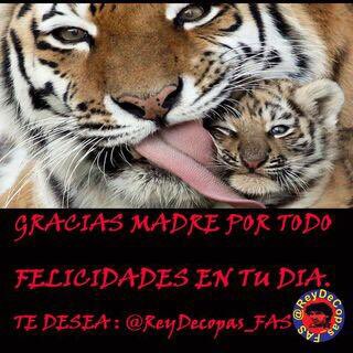 ROJO DE MI VIDA tweet media