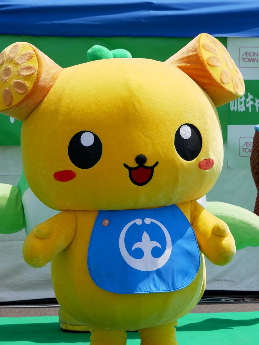 つちまる | Tsuchiura-shi Ibaraki つちまる ゆるキャラトレカ 新ver. YC-