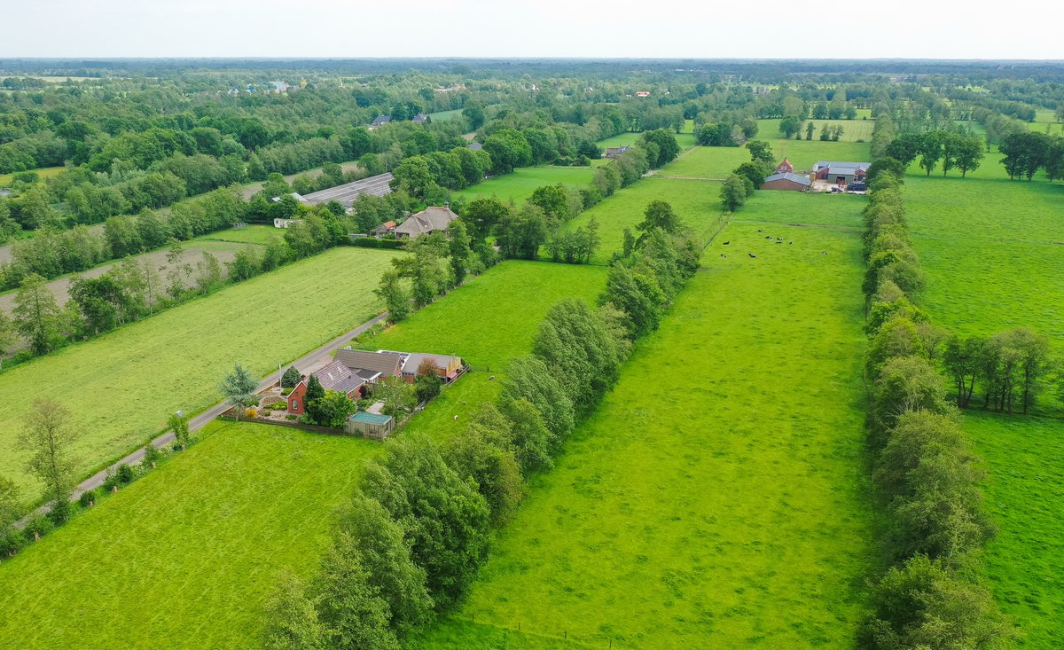 jwerisman's tweet photo. #biodiversboeren (16) Heggen, hagen, slootkanten, akkerranden en bosschages vormen culturele aspecten en schoonheid van het landschap. De #landschapselementen zijn essentieel voor planten, insecten, vogels en andere dieren en leveren voor vee schaduw en voer met gezonde stoffen https://t.co/OHbvYMUE9H