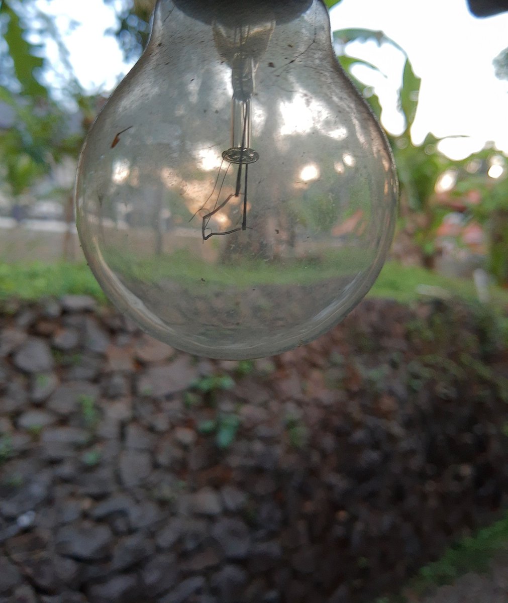 TominAbraham's tweet photo. Shot on Motorola One Action #shawsmartphoto 
#photography #phonephotography #nature #bulb #lockdown #photo #art #PicOfTheDay https://t.co/rrALCOdguH
