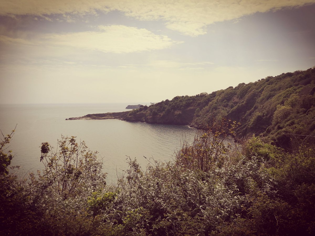 mariakerr2609's tweet photo. Ansteys Cove and Meadfoot looking stunning this morning. Calm clear waters. #viewfrommywander https://t.co/V13aiMU5TF