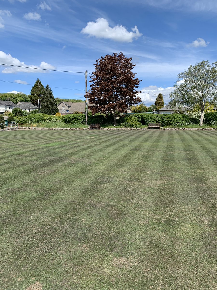 LevensBC's tweet photo. Entering Phase 2 of the green, Phase 1 was a turf hardening feed and wetter with the little rain we had a couple of weeks ago.
Now begins the filling of all the holes from the birds ripping it apart from the grubs 😬😴🙈 https://t.co/mGkFxJfLyx