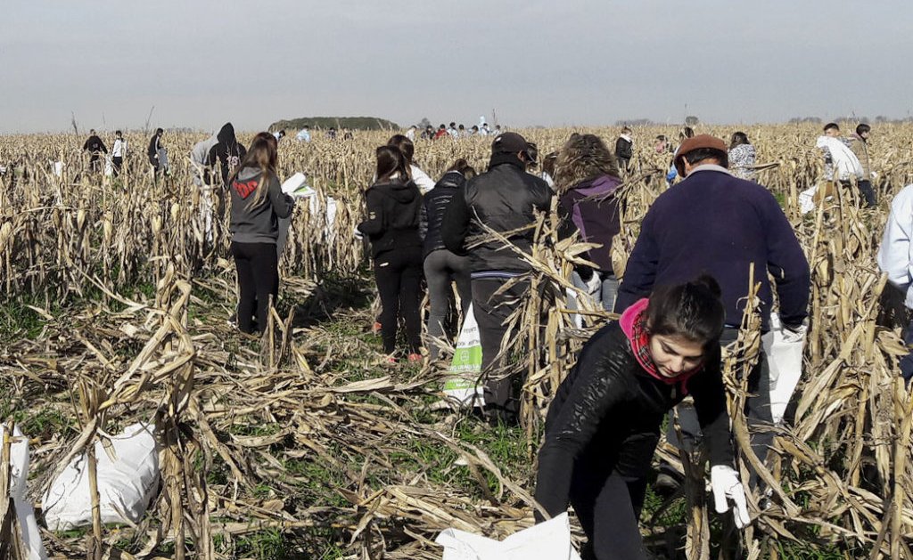 Una chocleada “virtual” para asegurar ayuda real valorsoja.com/2020/05/10/una…