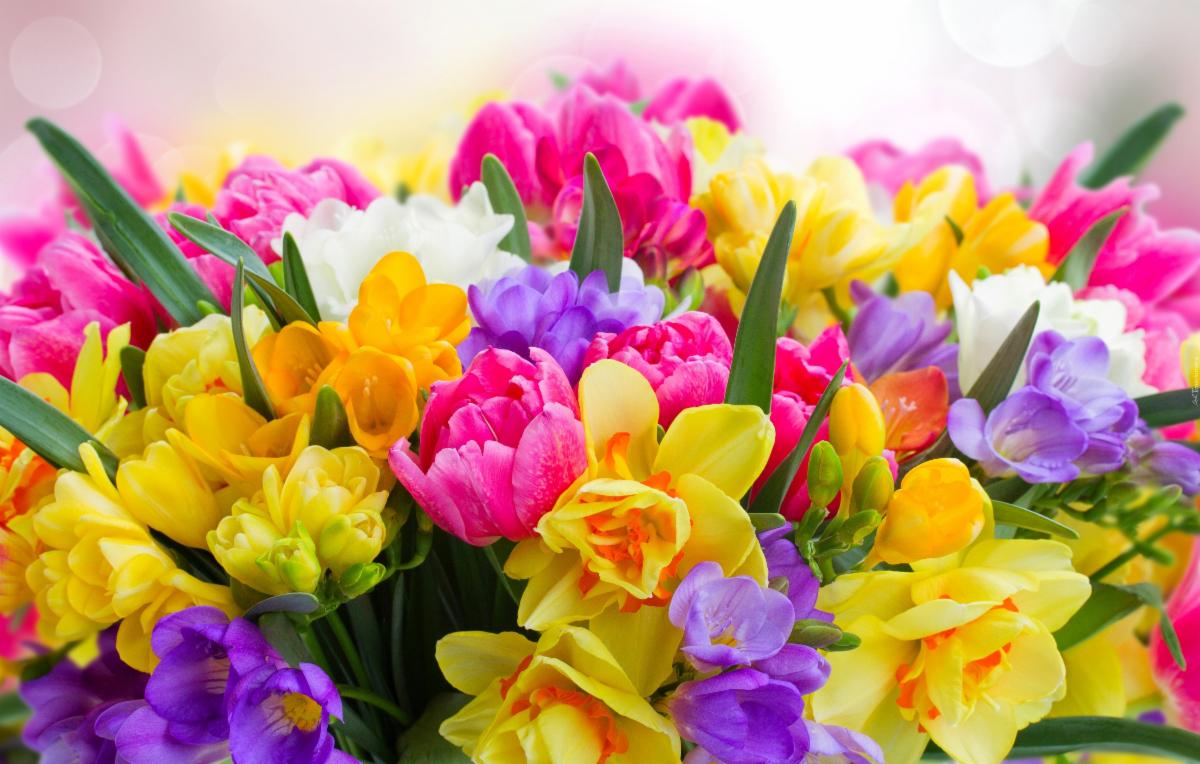 spsact's tweet photo. Happy and Blessed Mother's Day! https://t.co/VcIVIm932j https://t.co/qXdMQOUgV4