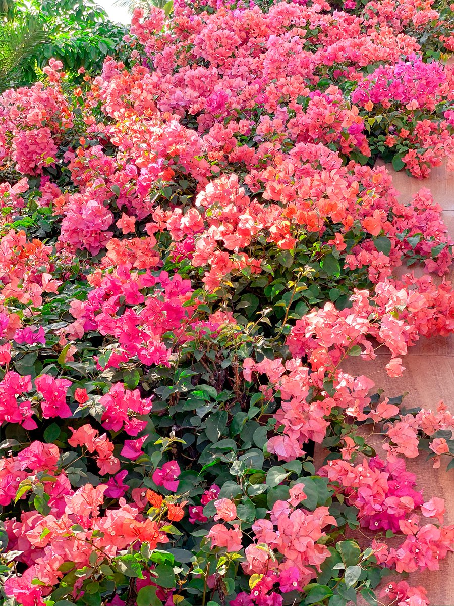 Happy Mother's Day from our ohana to yours! #HappyMothersDay #MothersDay2020