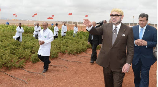 Un manque de stature? Peut-être. Mais Mohammed VI a une arme : le temps long.Non soumis aux aléas des élections, le monarque peut se permettre de lancer des politiques de développement sur plusieurs décennies, comme sa stratégie écologique « Génération Green 2020-2030 ».