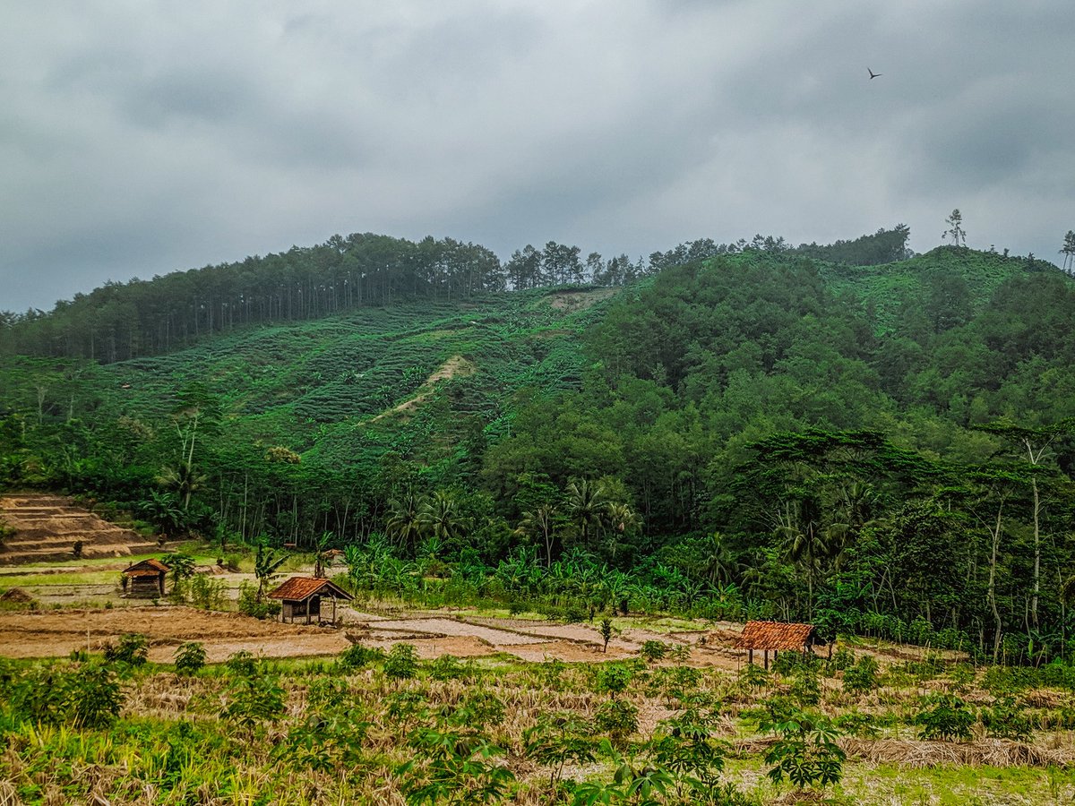 Lansekap <a href="/desadermaji/">desadermaji</a> (3)