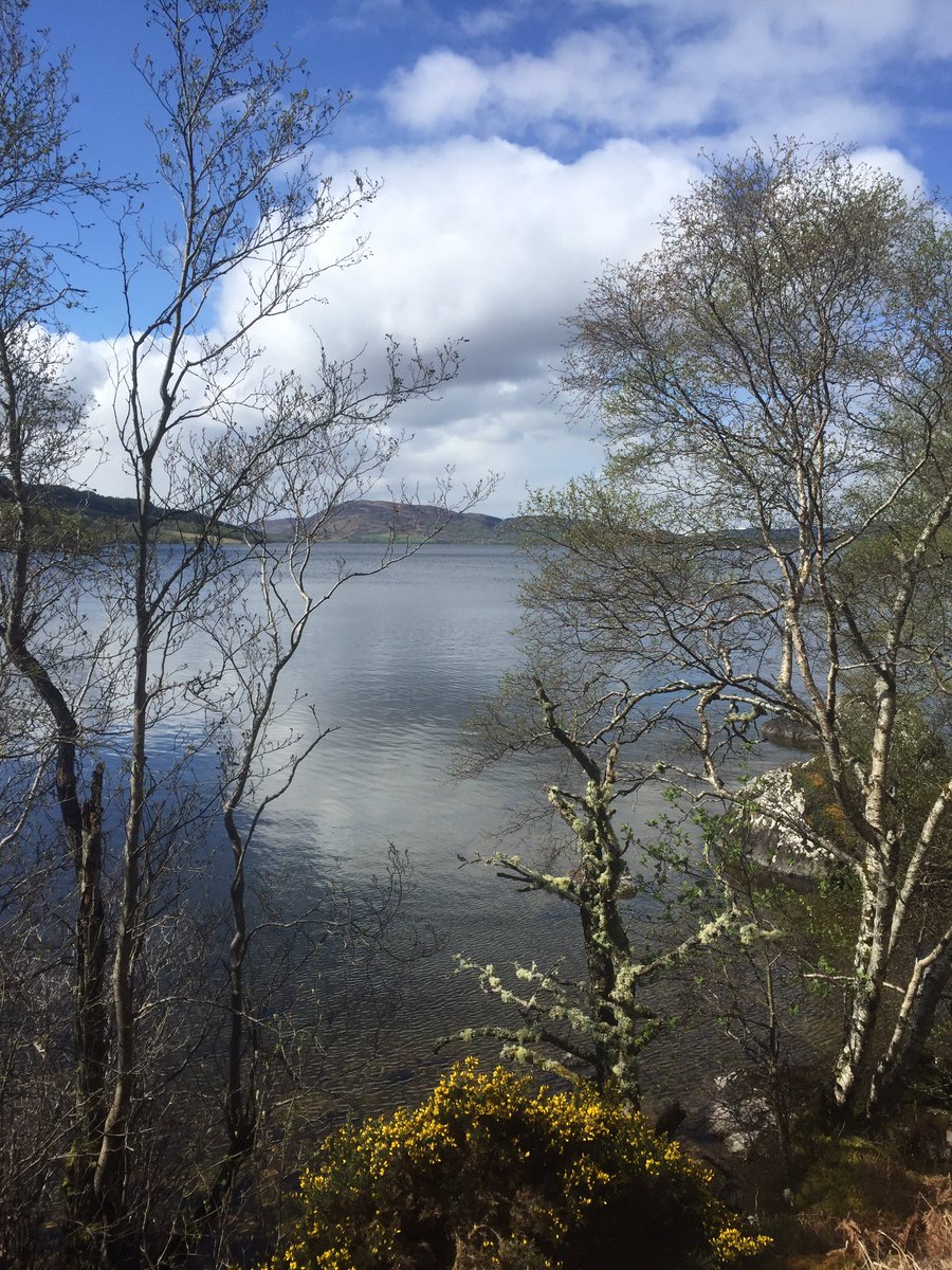 nickymarr's tweet photo. Between the hail showers on today’s #onecycle #highlands #scotland #StayHomeSaveLives https://t.co/iK2XNHIpO6