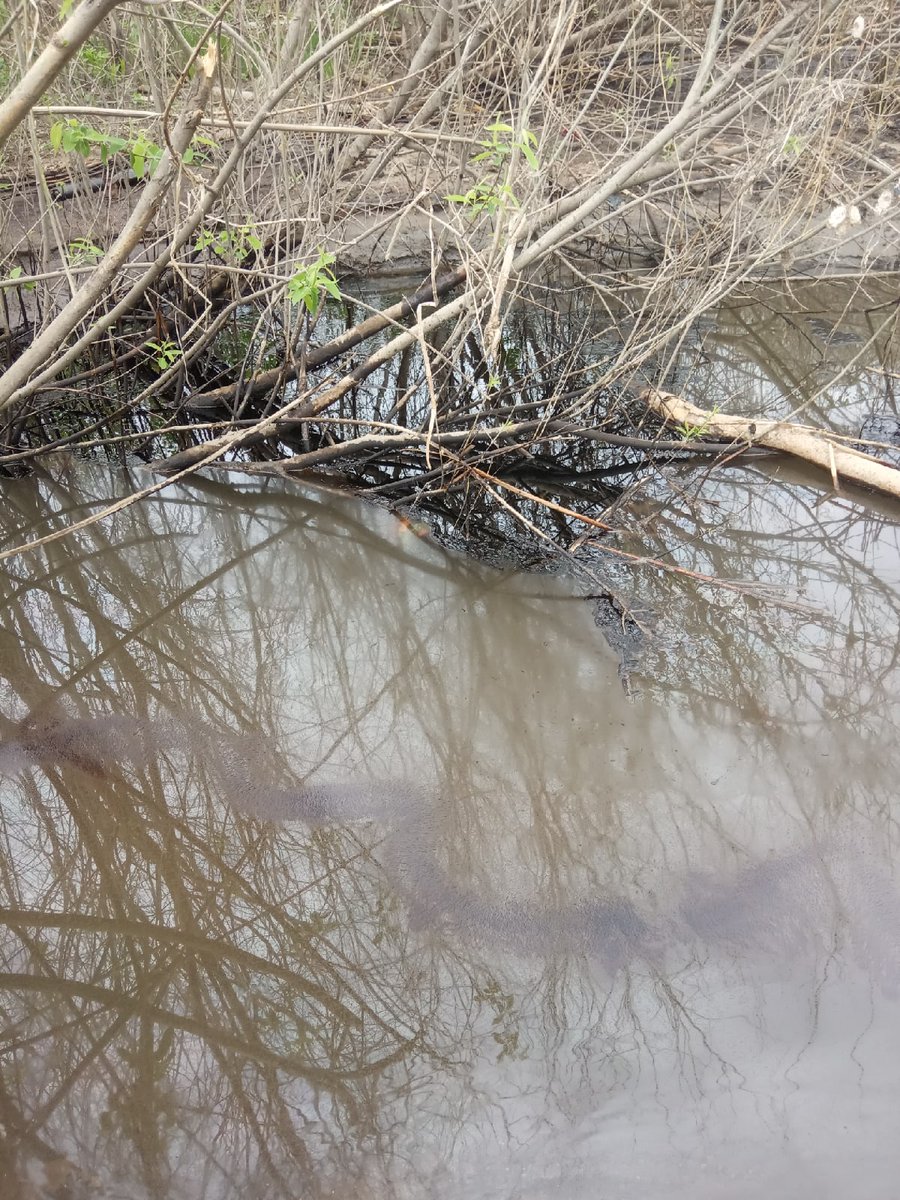 Aleksei Marolla tweet media