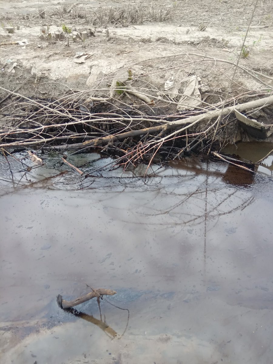 Aleksei Marolla tweet media