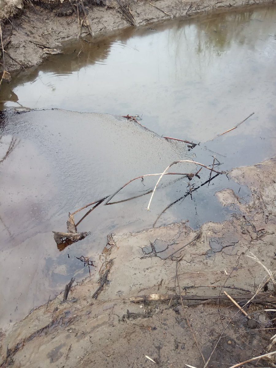 Aleksei Marolla tweet media