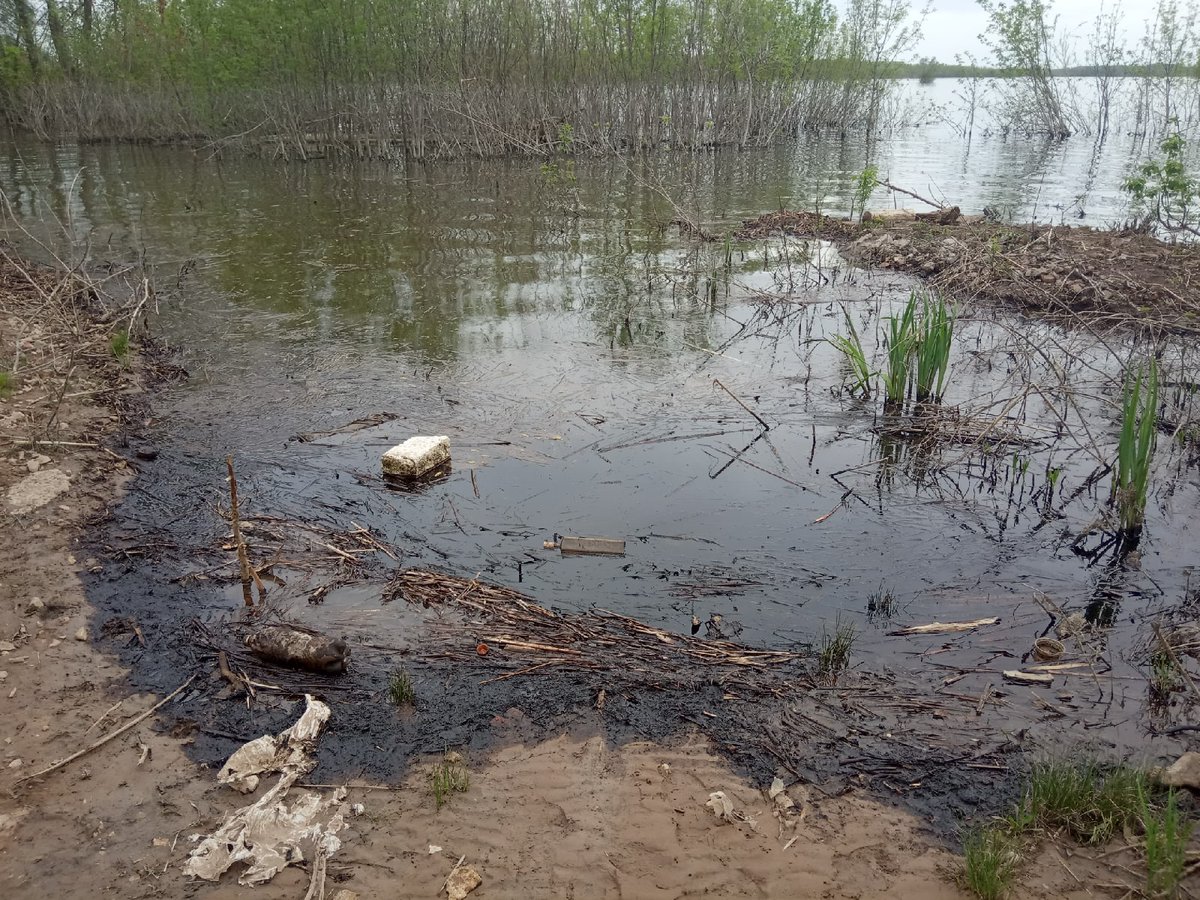 Aleksei Marolla tweet media