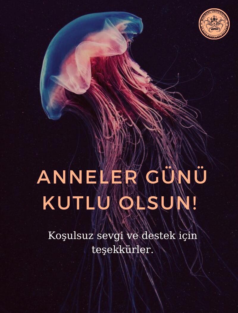 Hayattaki ilk dostumuz, daima kalbimizin merkezinde olan canımız annelerimizin anneler gününü kutlarız🐣 #MothersDay