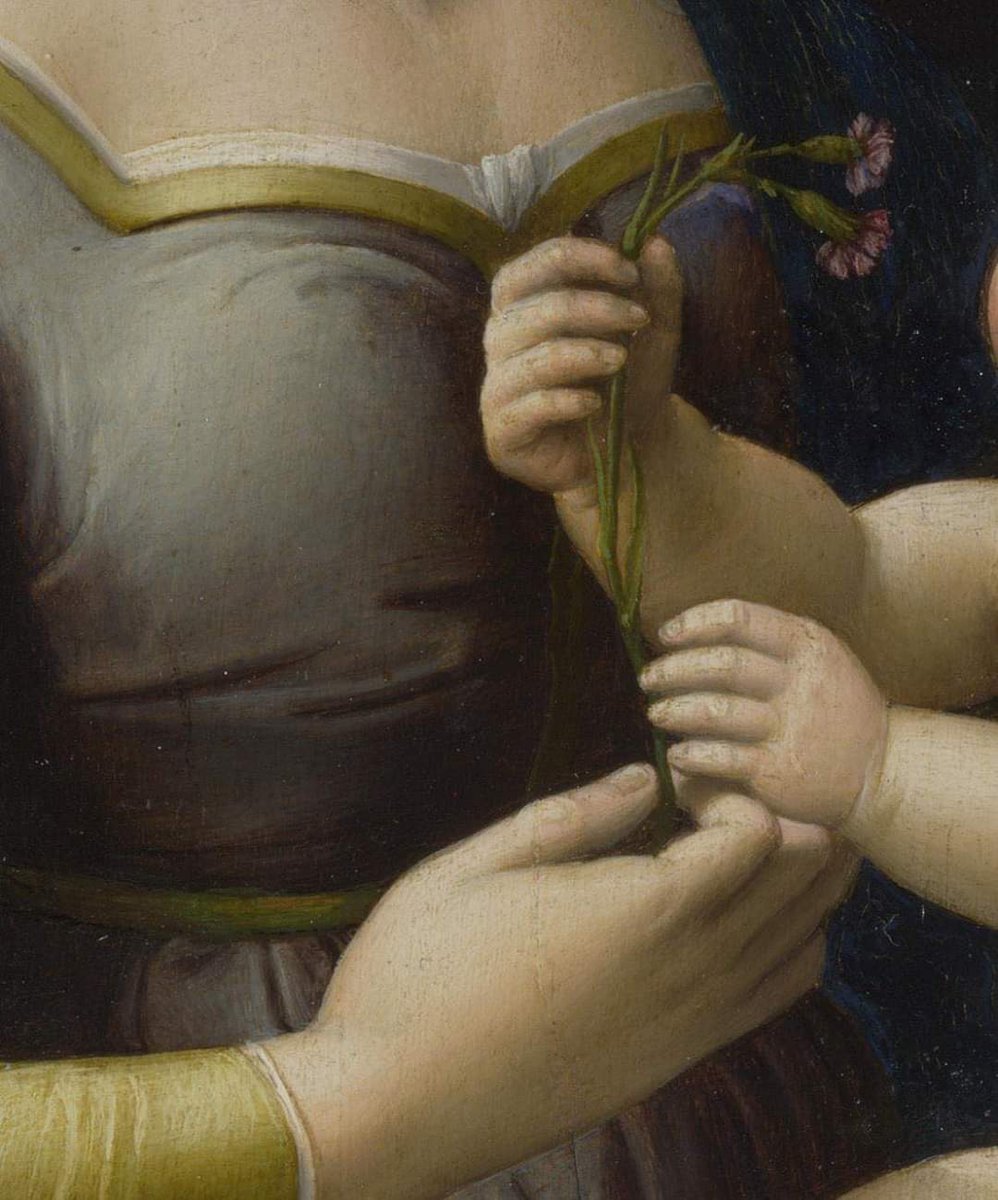 PaolaChiocchi's tweet photo. "Madonna dei Garofani" 1507 (dett.) Raffaello Sanzio🎨
#DonneInArte #DonneMadri #HappyMothersDay https://t.co/GGUmuU9LD2