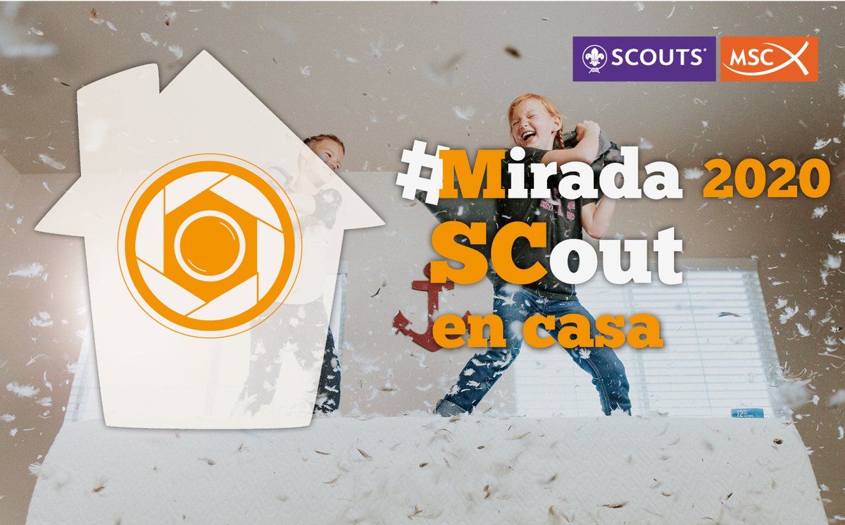 📣¡Ganadoras del MiradaSCout!
Descubre la resolución del concurso MiradaSCout ➡️
scouts.es/resolucion-con…

¡Muchas gracias a todos y todas las participantes!