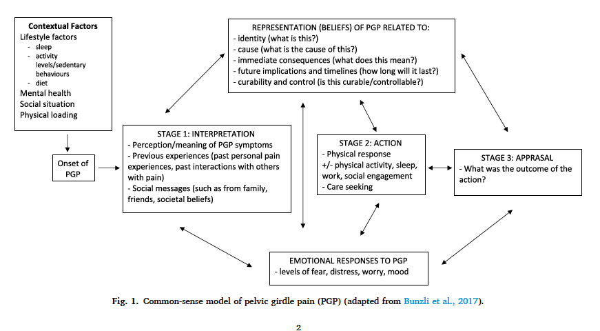 Peter O'Sullivan tweet media