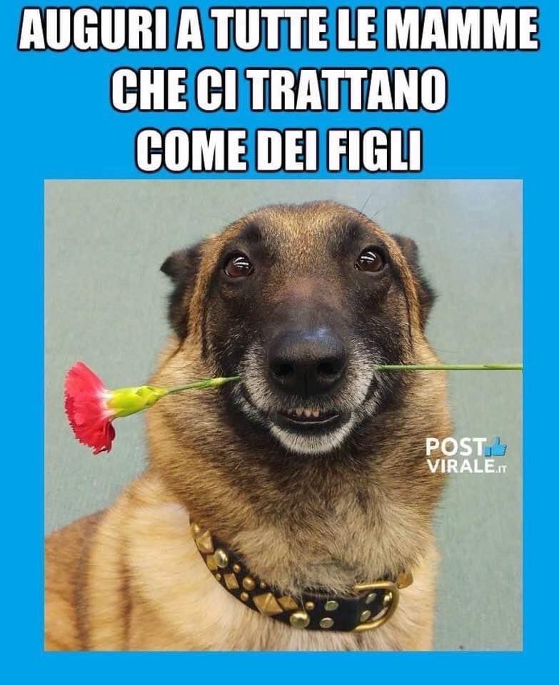 Tiziana Minervini (@tizminervini) on Twitter photo 