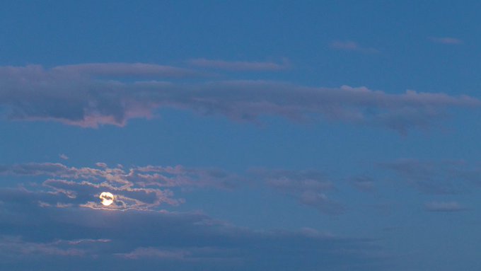 Yu Kakegawaraさん の最近のツイート 4 Whotwi グラフィカルtwitter分析