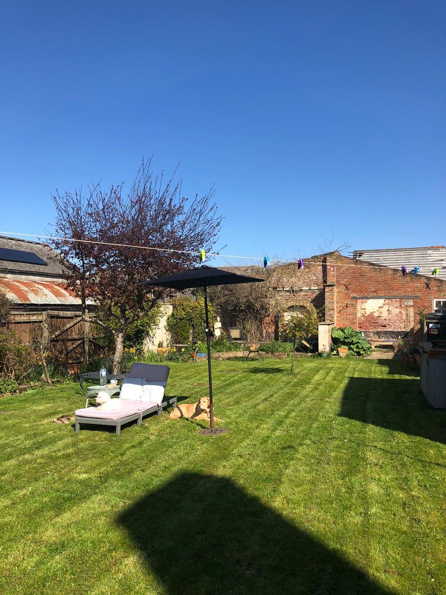 Selfstorage17's tweet photo. Mowed the garden yesterday and it turned out well. The sun won’t be out today for me to enjoy it 😋 https://t.co/ZAYQ3upJCS
